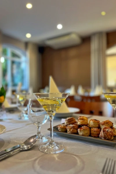 vidlicka intro banner