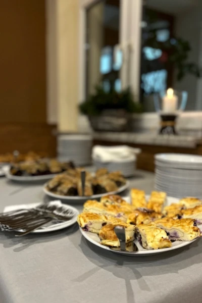 vidlicka restauracia