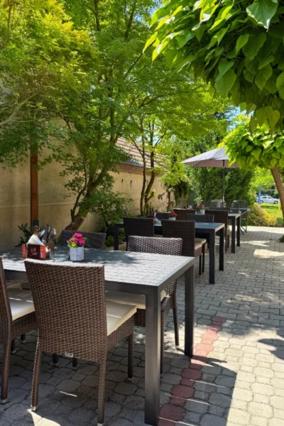 restauracia vidlicka terasa 3