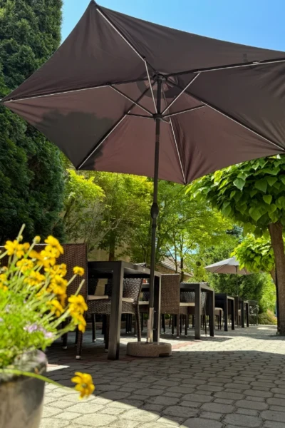 restauracia vidlicka terasa 4