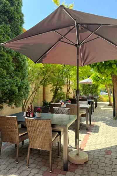 restauracia vidlicka terasa 6