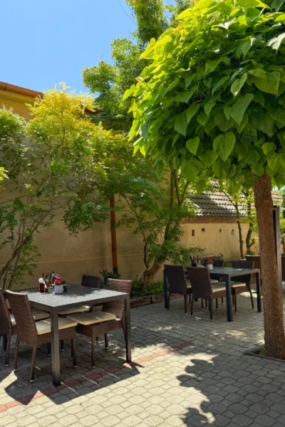 restauracia vidlicka terasa 7